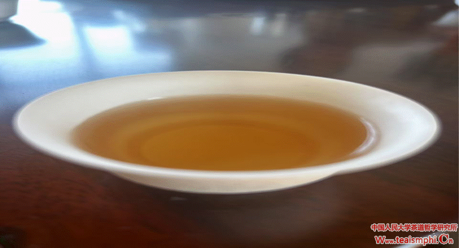 探索发展新路径：人大尊龙凯时人生就是搏z6com考察团调研白沙县茶产业